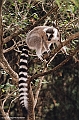 037 FA MADAGASCAR